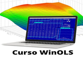 New Full WINOLS course to learn rewrite the memory of the ECU (advanced basic level), 40 hours, Spanish language only