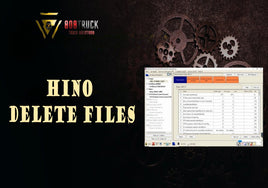 Hino DPF, EGR, Winols delete files