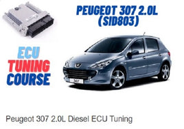 Peugeot 307 2.0L Diesel ECU Tuning
